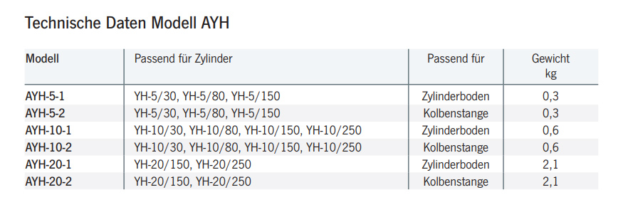 schwenklager_ayh_details2