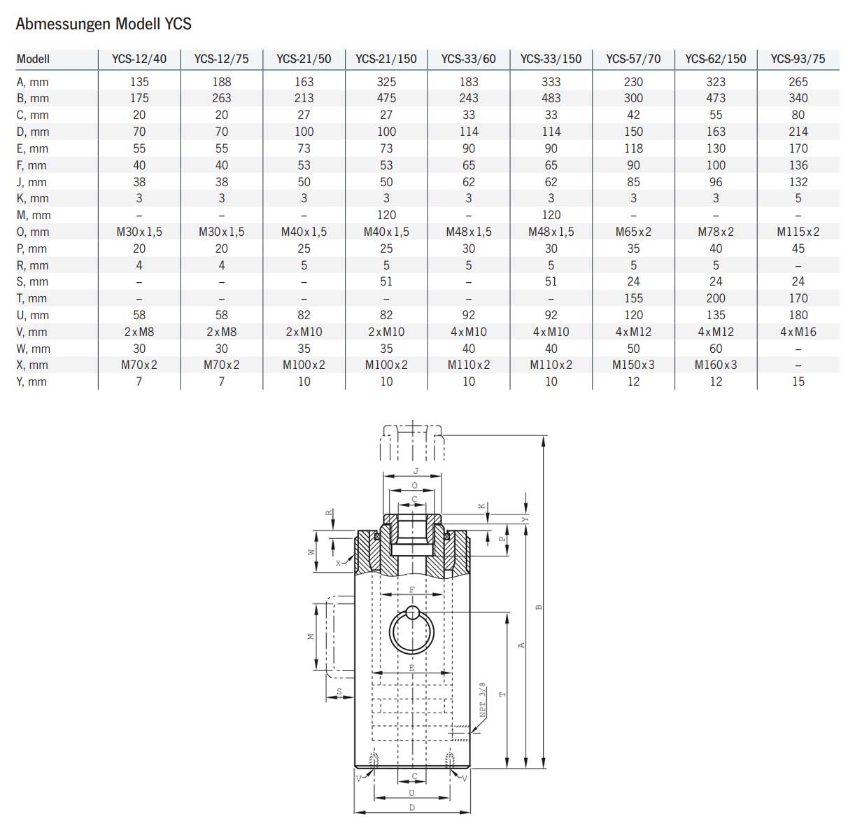 hohlkolbenzylinderycs_details5