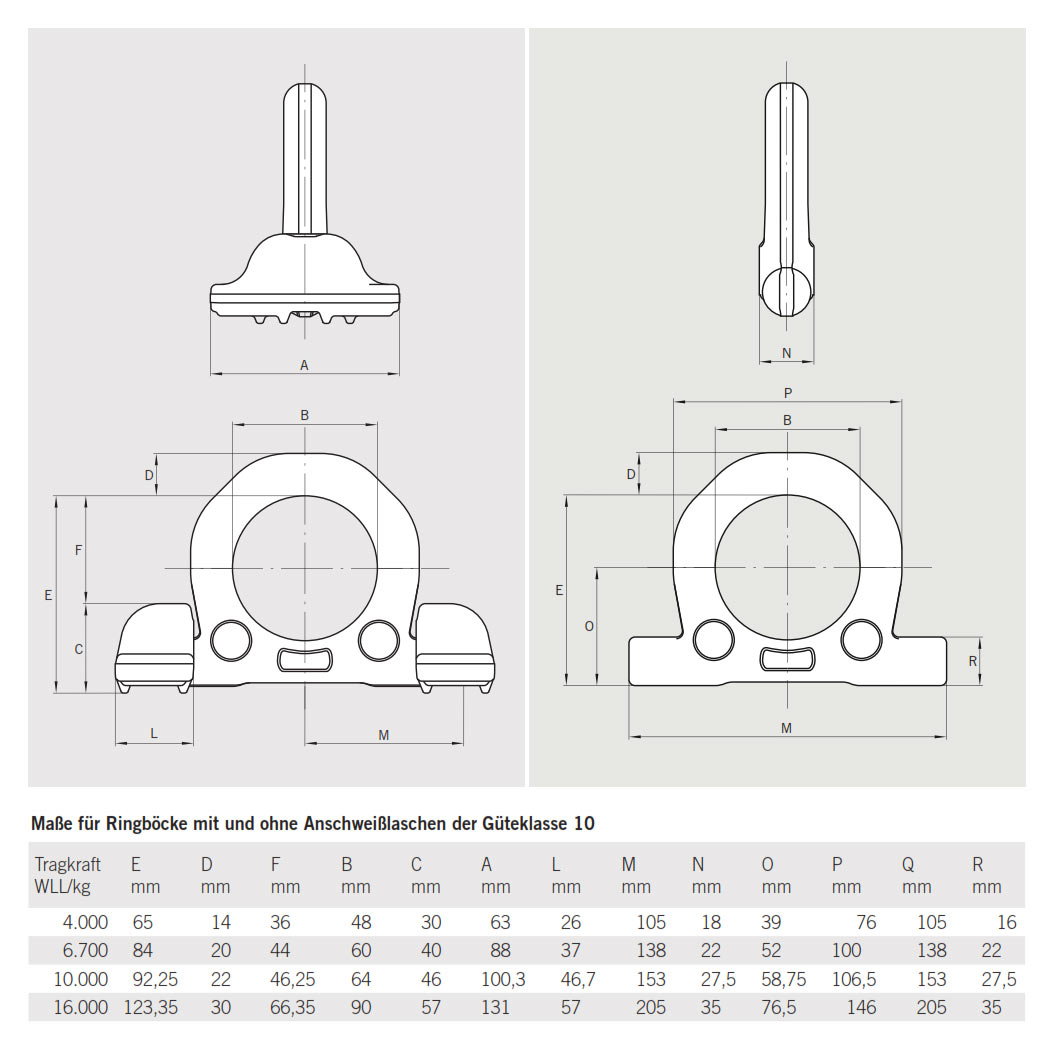 ringbockgk10_details3