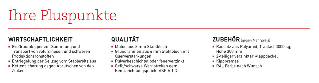 grossraumkipper_rkg_details5