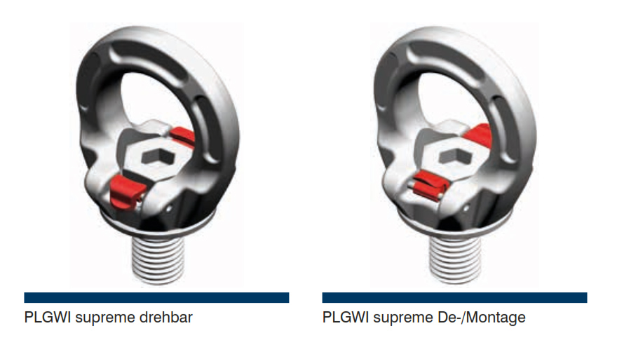 plgwi_ringschraube_details3