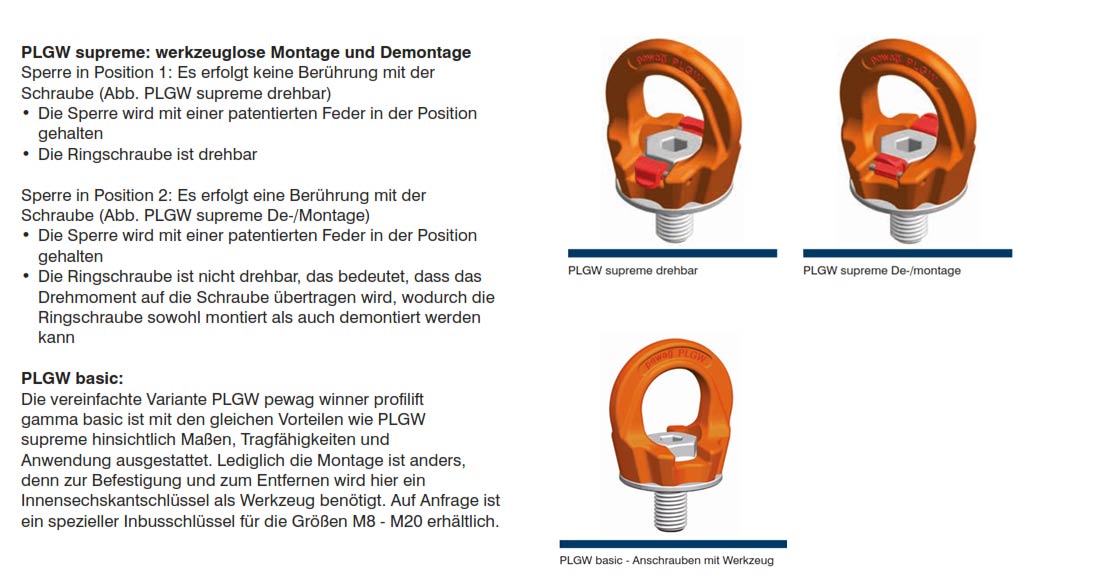 plgw_ringschraube_details4