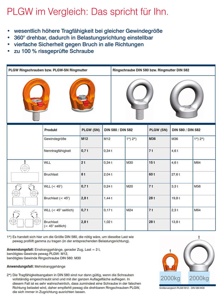 plgw_ringschraube_details9